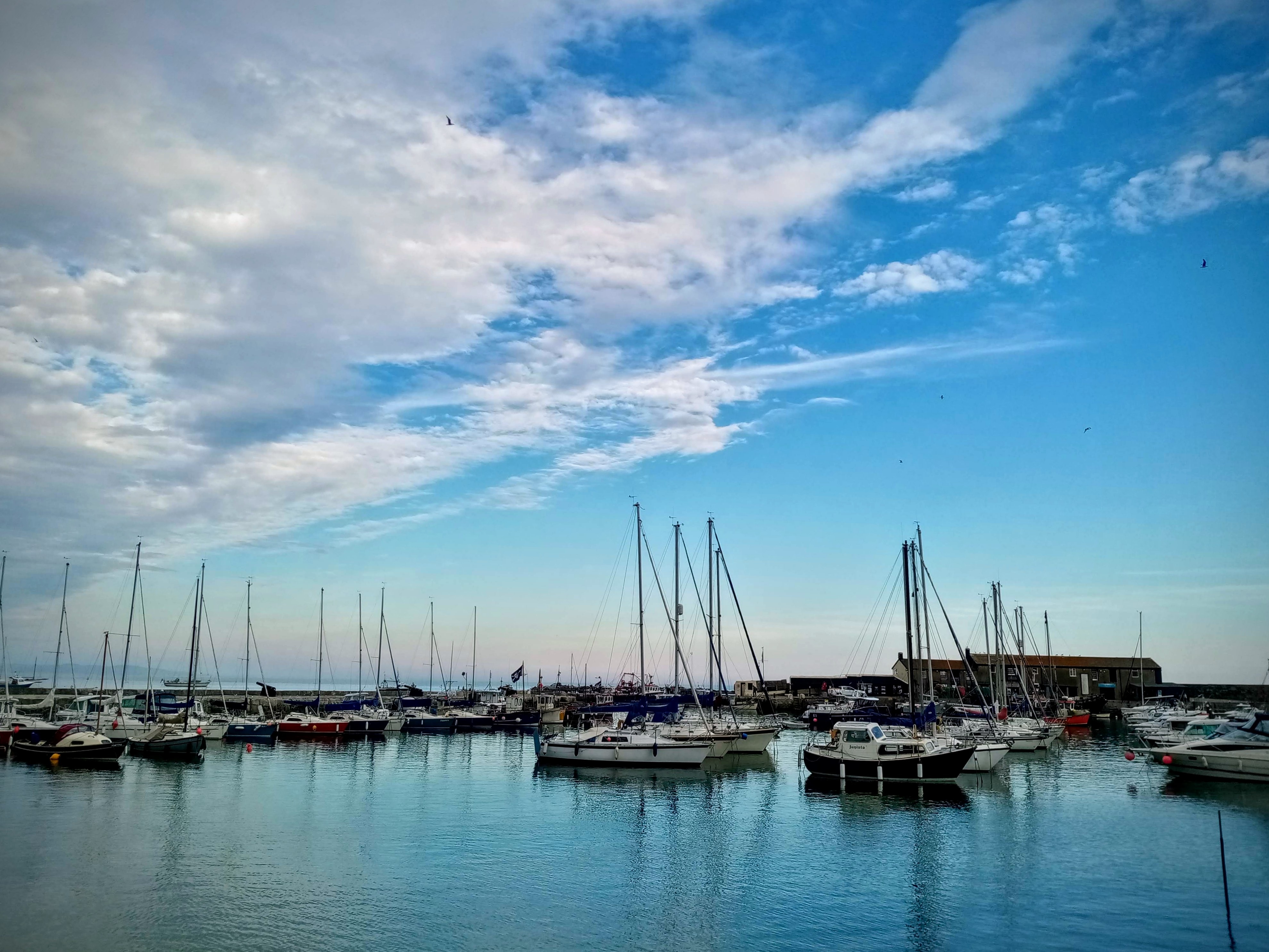 Lyme regis harbour